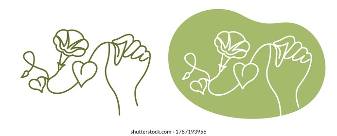 hand holds bindweed flower, linear one-color drawing