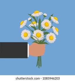 Hand holds a bouquet of chamomiles. Vector illustration on a blue background