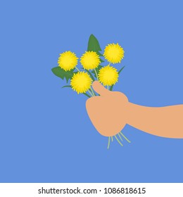 Hand holds a bouquet of dandelions. Yellow flowers. Vector illustration on a blue background