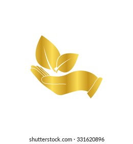 hand holds leaves -  gold vector icon