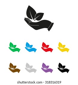 hand holds leaves - vector icon