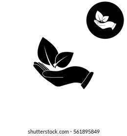 hand holds leaves  - white vector icon