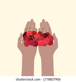 Hand holds red ripe cherries isolated on white background