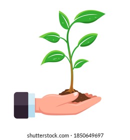 hand holds a sprout of a tree for planting in the ground. flat vector illustration.