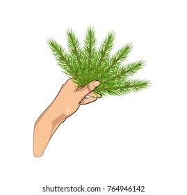 hand holds the spruce branches in the form of a fan or a peacock's tail