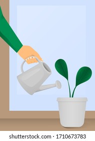 A hand holds a watering can and watered a flower. Vector illustration isolated. Art for the design of sites, banners, labels, covers.