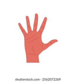 Hand, Human Body Part Illustration