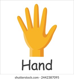 Hand human body parts flat vector illustration on white Background.