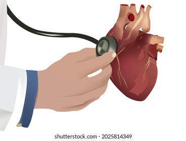 hand with human heart stethoscope