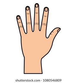 hand human isolated icon