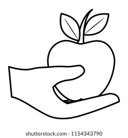 hand human protected with apple