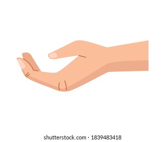 diseño de ilustración de vector de icono aislado