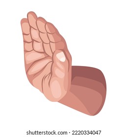 hand human stoping posture icon
