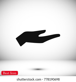 hand icon, stock vector illustration flat design style