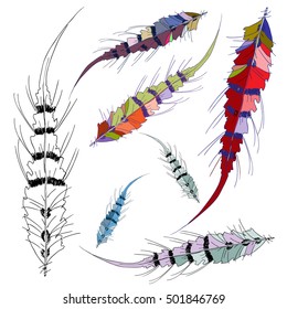 Hand illustration bird feather. Symbol of writing and learning. The old way of writing. Vector graphic design. Isolated on white background. 
