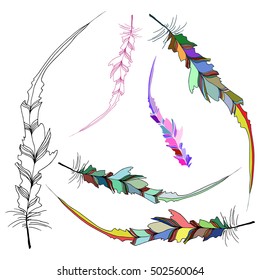 Hand illustration bird feather. Symbol of writing and learning. The old way of writing. Vector graphic design. Isolated on white background. 
