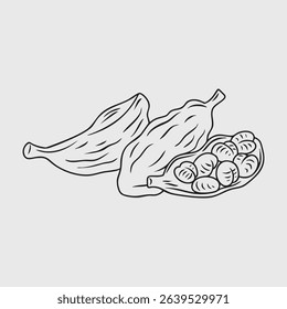Hand Illustration of Cardamom Fruit Spice. Thin Line Illustration.