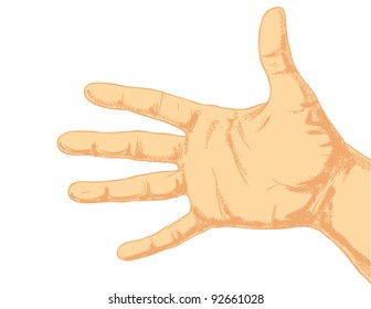 Mano aislada en un fondo blanco.