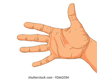 Hand isolated on a white background.