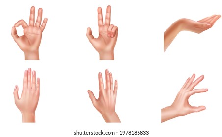 Hand Isolated on White Photo-realistic Vector illustration  Various Gestures of Human Hands isolated On Transparent Background. Vector Flat illustration of Hands in Hifferent Situations.