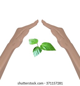 hand lay up leaves sprout vector nature protection