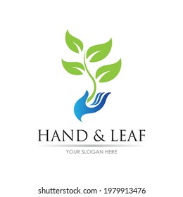 plantilla de diseño de ilustraciones vectoriales con logotipo de mano y hoja