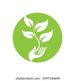 hand and leaf logo vector illustration design template