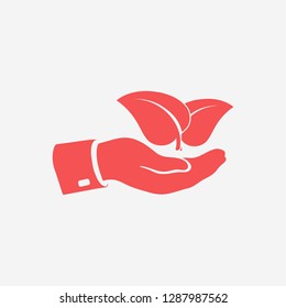 hand & leaf - nature 