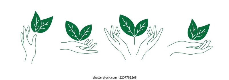 ilustración vectorial de líneas de mano y de hojas 