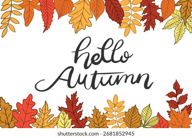 Hand lettered Hello Autumn text elegantly centered on a white background, framed by vibrant red, orange, and yellow fall leaves