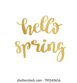 Hand lettered inspirational quote Hello Spring. Hand brushed ink lettering. Modern golden brush calligraphy on white background. Vector illustration.