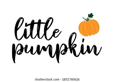 Cita de PUMPKIN con letra manual con calabaza. Letras para afiche, etiqueta, etiqueta, volante, cabecera, tarjeta
