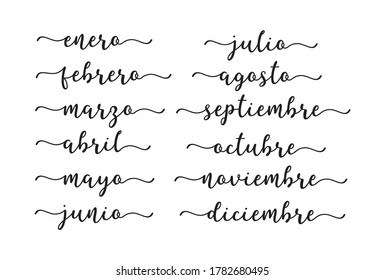 Hand Lettered Months of the Year in Spanish. Lettering for Calendar, Organizer, Planner
