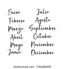 Hand Lettered Months of the Year in Spanish. Lettering for Calendar, Organizer, Planner
