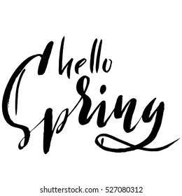 Hand lettered style spring design on a white background. Hello spring hand drawn calligraphy letters. Vector illustration