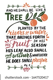 Hand lettering with Bible verse And he shall be like a tree. Biblical background. Christian poster. Scripture print. Motivational quote. Modern calligraphy. Psalm