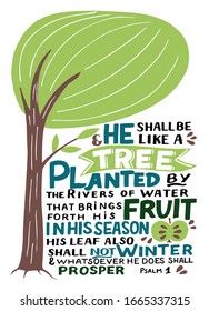 Hand lettering with Bible verse He shall be like a tree. Biblical background. Christian poster. Scripture print. Motivational quote. Modern calligraphy. Psalm 1