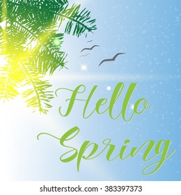 Hand Lettering "Hello Spring"  Brush Pen lettering isolated on sunny background. Spring quote on beautiful background with light rain, pine tree branches. Positive phrase, motivational season card.