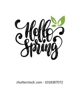 Hand lettering Hello Spring. Vector inspirational phrase on white background.