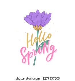 Hand lettering phrase hello spring with flower for print, decor. Decorative flower.