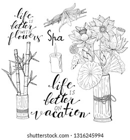 Hand lettering phrases life is better with flowers, life is better on vacation in black, bamboo leaves and lotus flowers inside vase, vanilla orchid flower and pods, isolated on white background