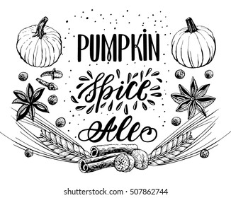 Hand Lettering Pumpkin Ale. Coffee restaurant brochure vector, coffee shop menu design. Vector cafe template with hand-drawn graphic.Raw material for brewing. Pub menu.