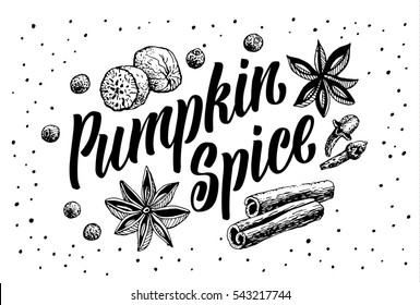 Hand Lettering Pumpkin Spice. Coffee restaurant brochure vector, coffee shop menu design. Vector cafe template with hand-drawn graphic. Coffee flayer.