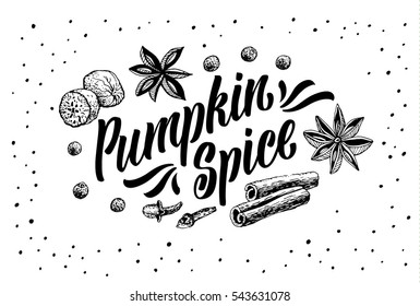 Hand Lettering Pumpkin Spice. Coffee restaurant brochure vector, coffee shop menu design. Vector cafe template with hand-drawn graphic. Coffee flayer.