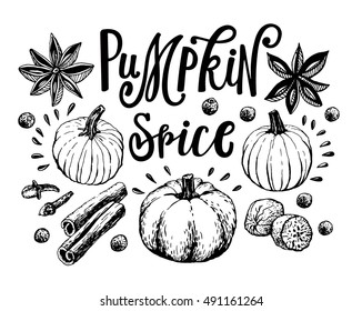 Hand Lettering Pumpkin Spice Latte. Coffee restaurant brochure vector, coffee shop menu design. Vector cafe template with hand-drawn graphic. Coffee flyer.