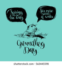 Hand lettering quotes: Spring Is On The Way, Six More Weeks Of Winter in speech bubbles. Vector Happy Groundhog Day sketched illustration. February 2 greeting holiday poster or card etc.