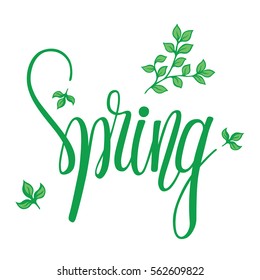 Hand lettering spring with green branches