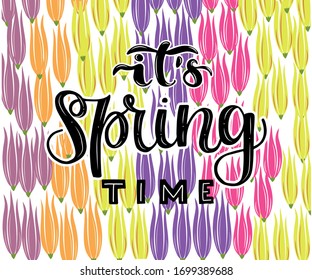 Hand lettering text It's spring time on colorful tulips background for greeting card, invitation, poster. Vector illustration. Lettering tipography.