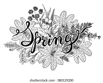 Hand lettering word Spring with hand drawn herbs and flowers. Black and white graphic vector illustration. Handmade calligraphy.