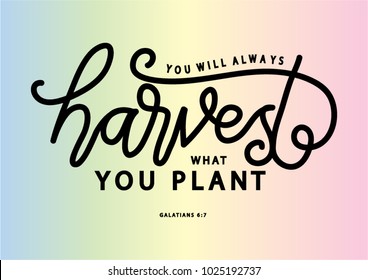 Hand lettering You Will Always Harvest What You Plant. Bible quote. Modern calligraphy. Motivational inspirational quote.